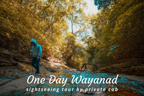 One Day Wayanad Sightseeing Tour Package by Cab